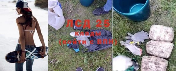 ГАЛЛЮЦИНОГЕННЫЕ ГРИБЫ Абаза