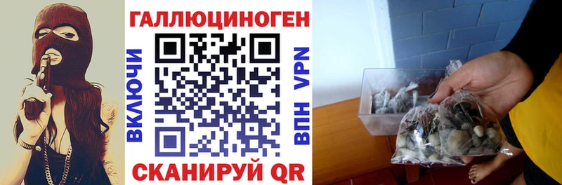 Псилоцибиновые грибы GOLDEN TEACHER Богородицк